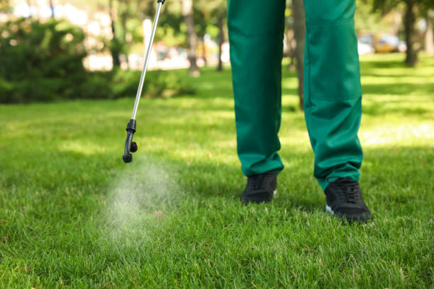 Best Wasp Removal Services  in Paris, TN