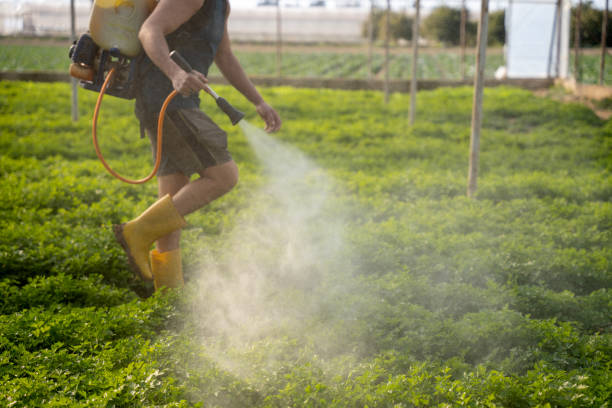 Professional Pest Control in Paris, TN