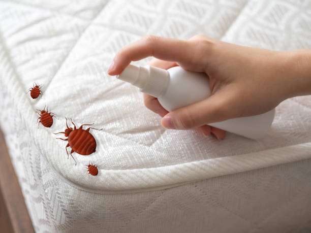 Best Pest Control Cost  in Paris, TN