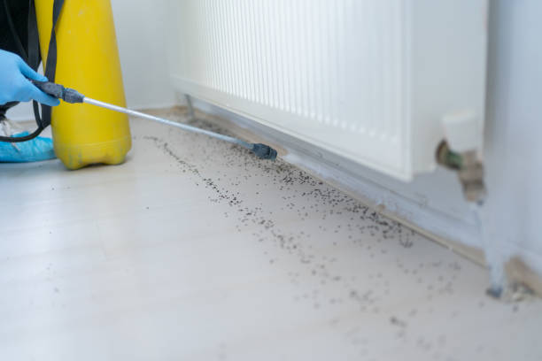 Best Cockroach Control Services  in Paris, TN